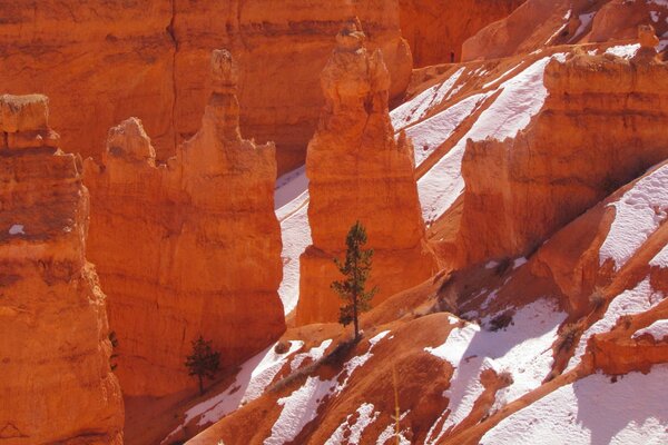 Rocce nella neve nel Parco Nazionale