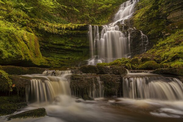 Il Parco Nazionale attira una cascata tempestosa