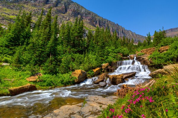 Cascada que fluye desde las montañas a los lados de las pintorescas flores