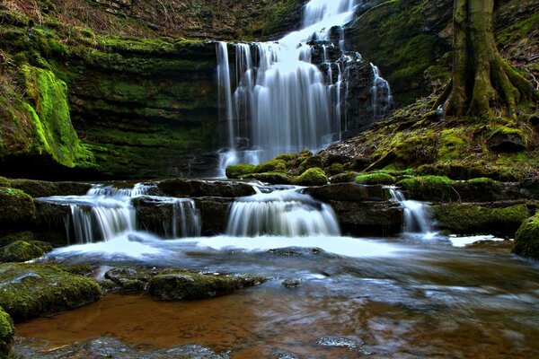 Yorkshire Dales, una bellissima cascata