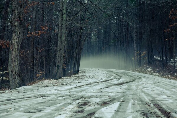 Bosque de niebla, otoño sombrío, camino a la distancia