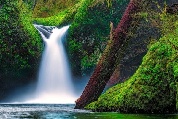 Wasserfall in der Schlucht des Flusses und plötzlich Moos