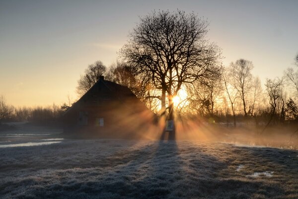 Matin au début de l hiver dans le village