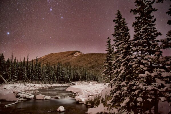 Nacht Winterwald mit Sternen