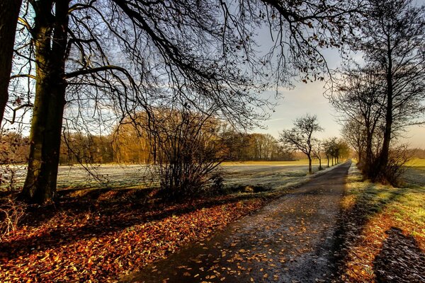 Foto Park Herbst Laubfall sonniger Tag