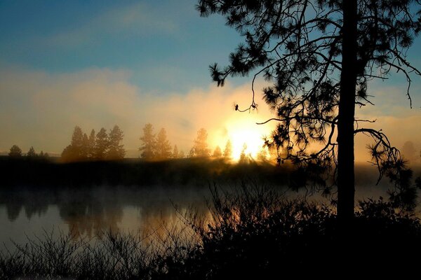 Brumoso amanecer en el lago del bosque