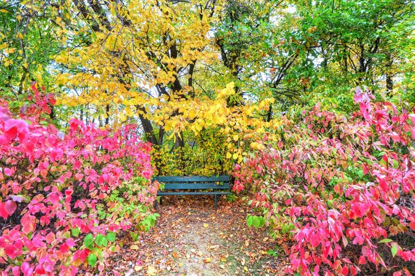 Blühende Bäume und Sträucher im Garten