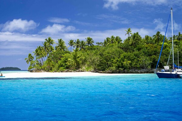 Yacht navigue devant la plage avec des palmiers