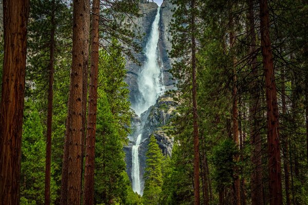 Una poderosa cascada contra el fondo de rocas y árboles