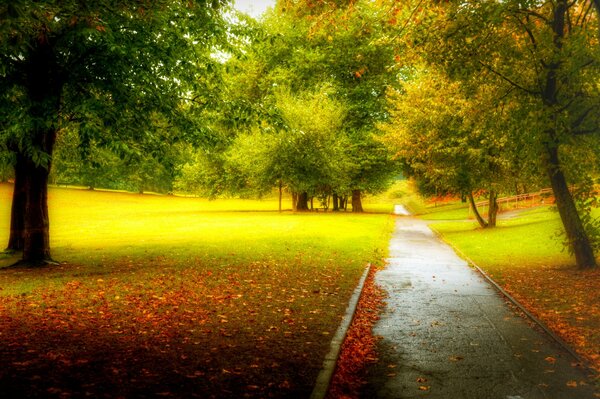 Ein Parkweg zwischen Herbstbäumen