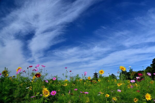 A temple among bright flowers and sunflowers