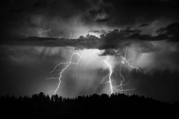 Tormentas azotan bosque