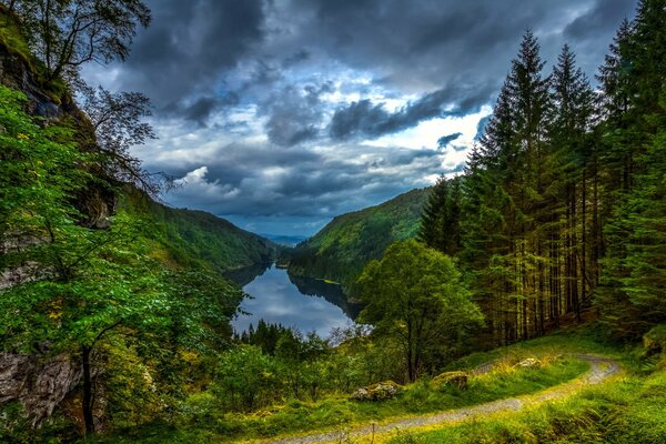 Forêt d émeraude et montagnes