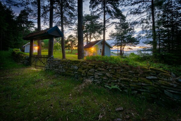 Casa Noruega en el bosque verde