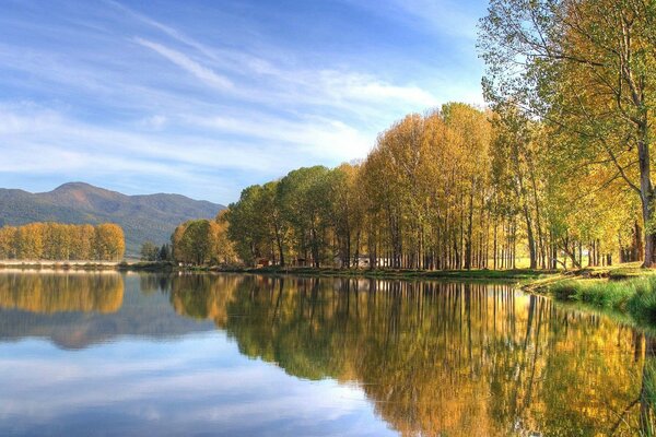 Lago, foresta autunnale, bel tempo