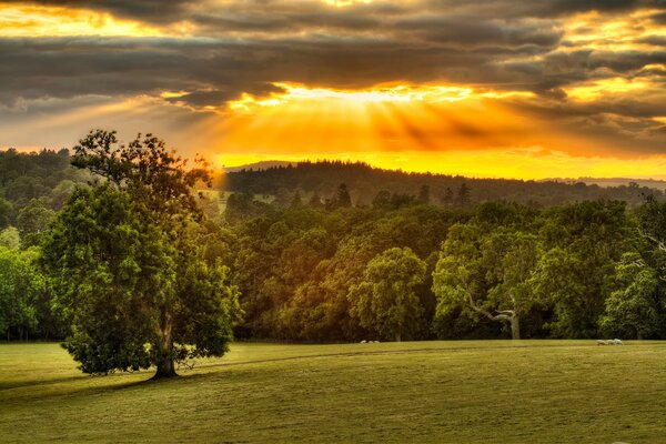 Vista elegante de los campos en la luz del sol