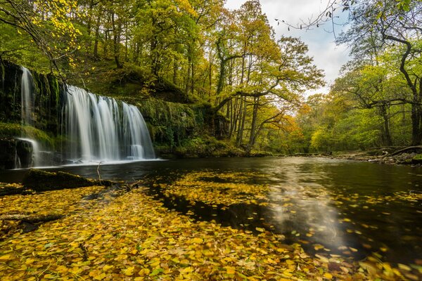 Herbst, Wasserfall - Fluss im Laub