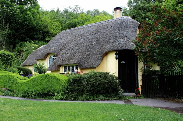 English house surrounded by greenery