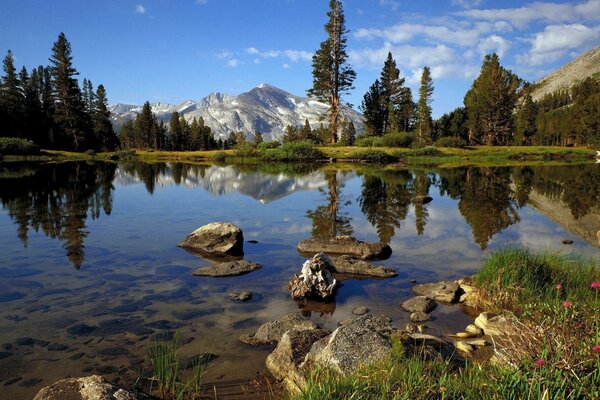 Hermoso lago con montañas bosques de pino joven