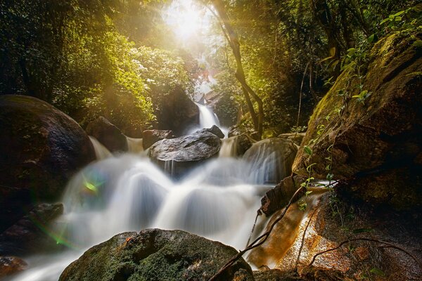 Forest waterfall in Brazil bridlevale