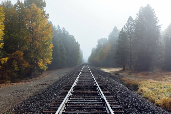 Ferrocarril en la niebla