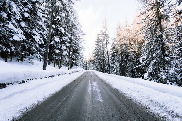 In einem wunderschönen Winterwald sind alle Bäume im Schnee