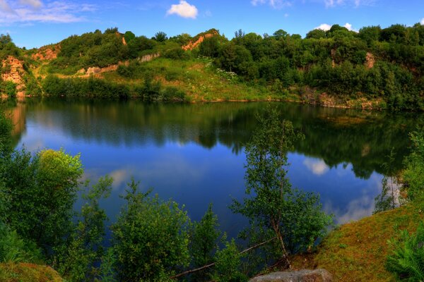 Lac incroyable au milieu de la forêt verte