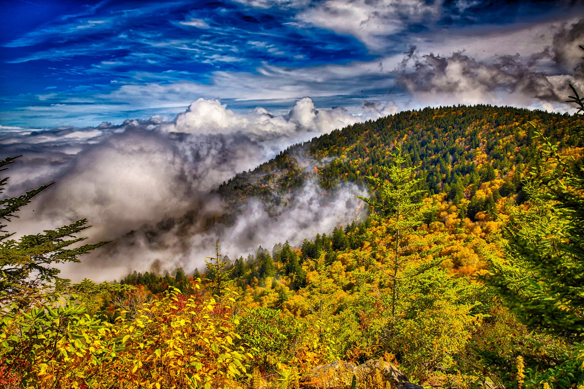 ciel nuages montagnes forêt arbres automne