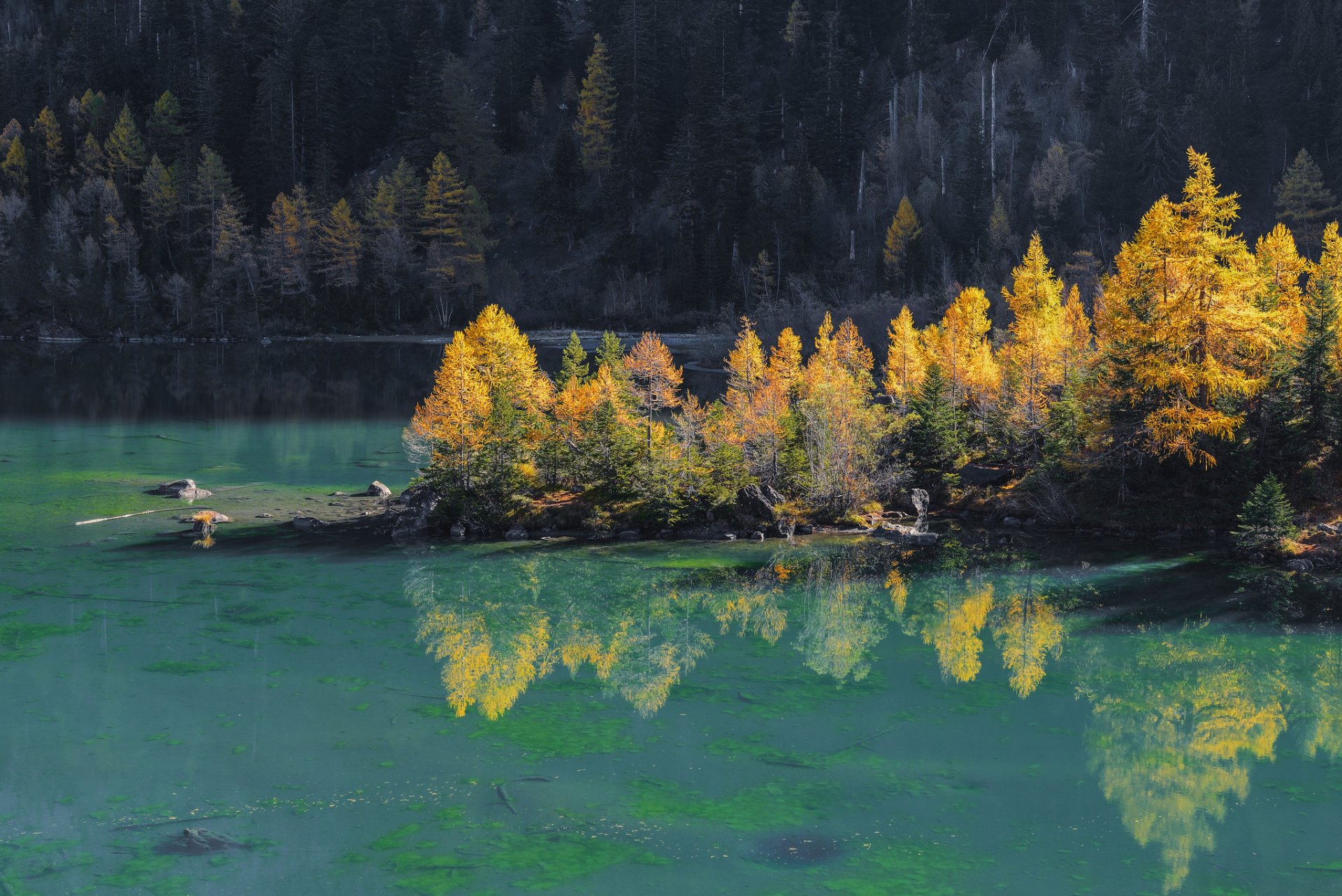 hang wald see insel bäume herbst