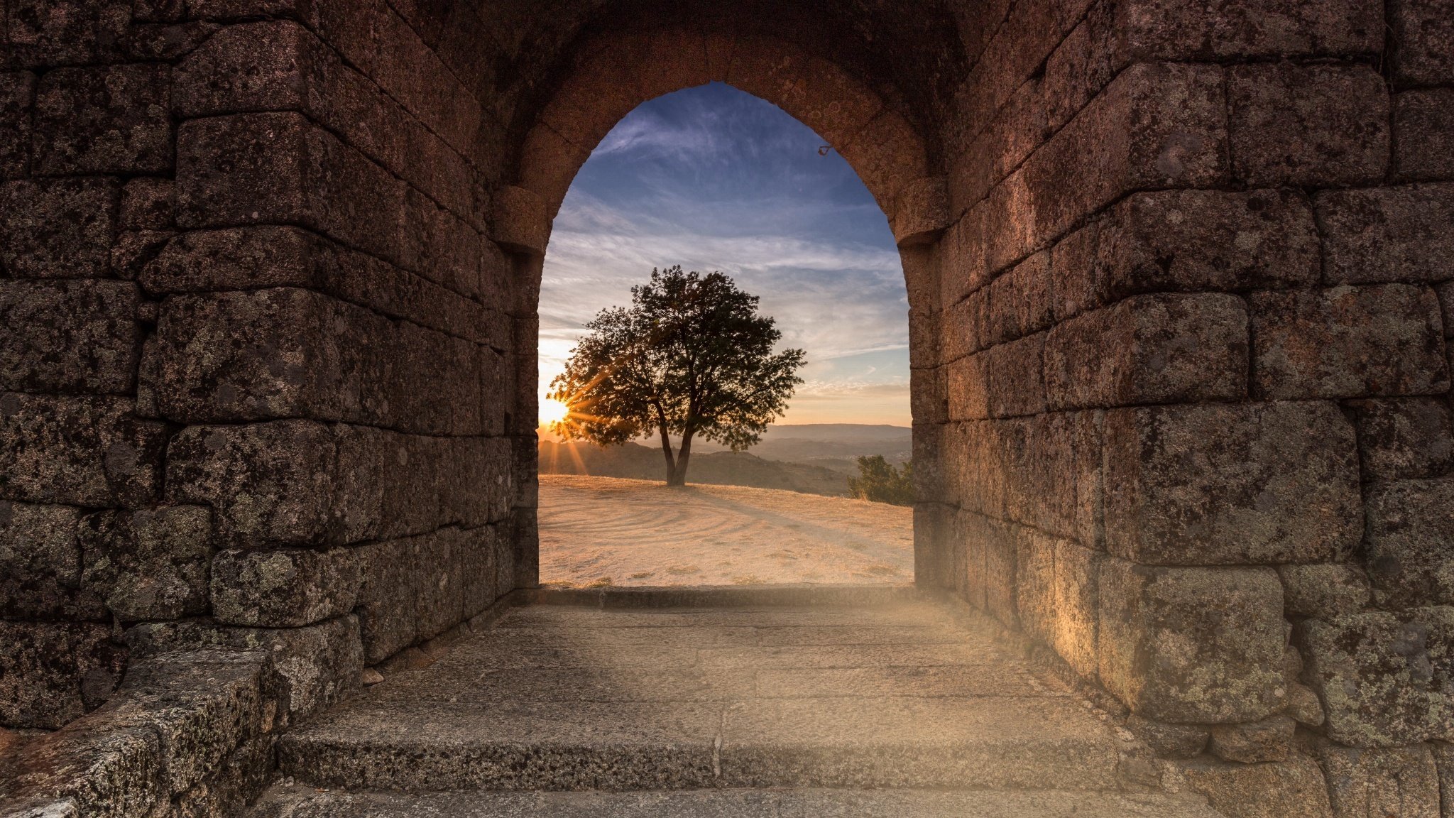 tunel pareti vista albero