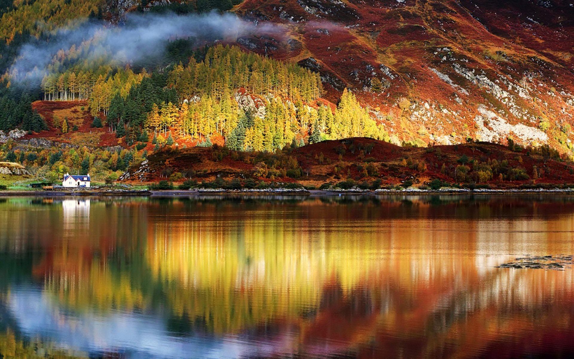 acqua riflessione raggi del sole foresta