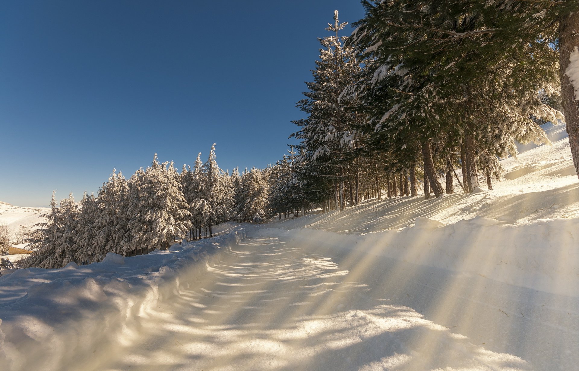 hiver matin route neige paysage nature