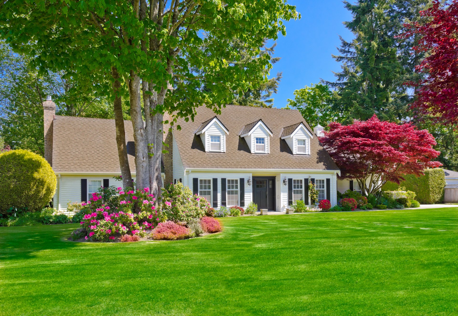 house mansion design lawn flowers bushes trees lawn grass greenery summer sun