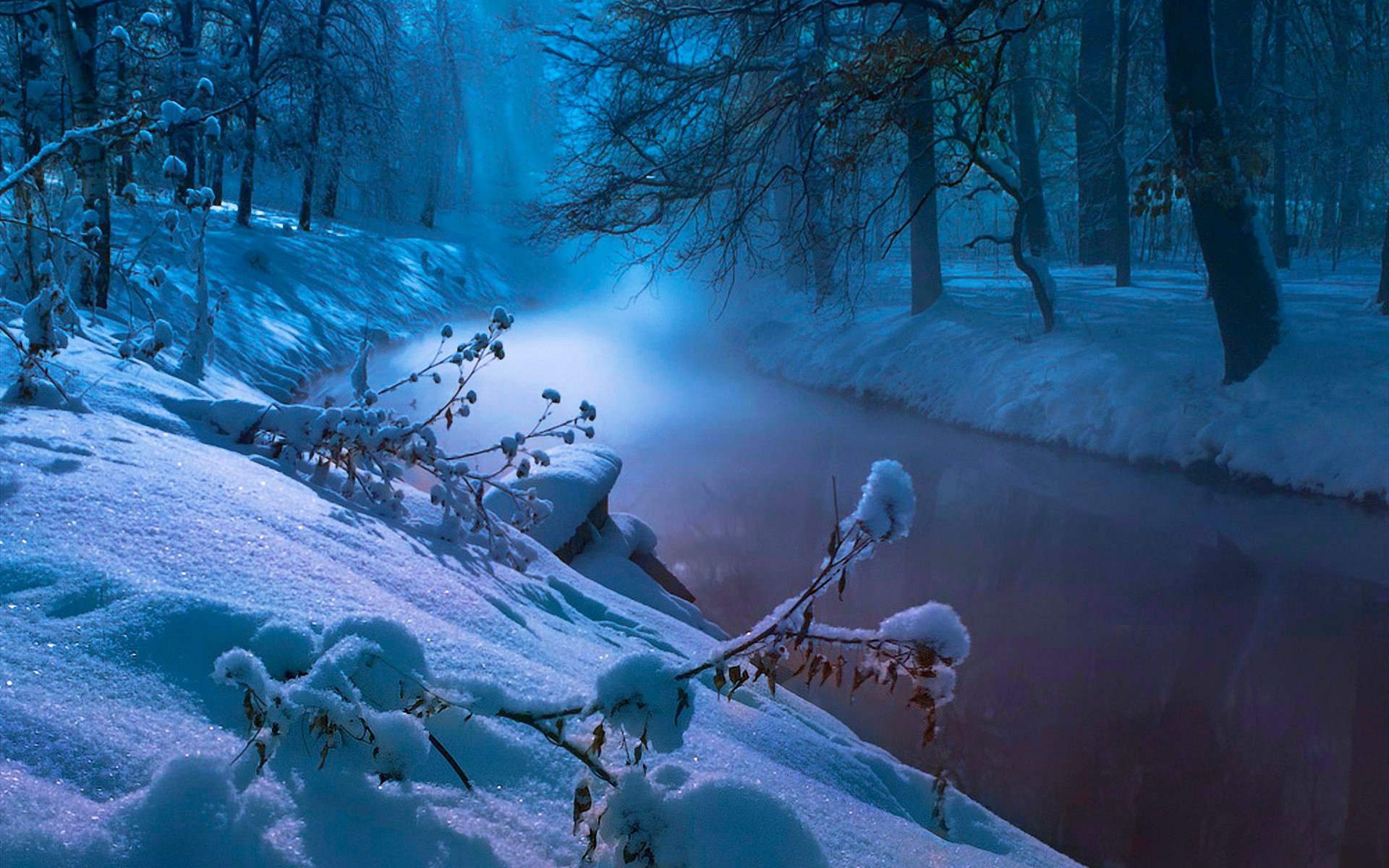 rivière ruisseau hiver arbres forêt neige