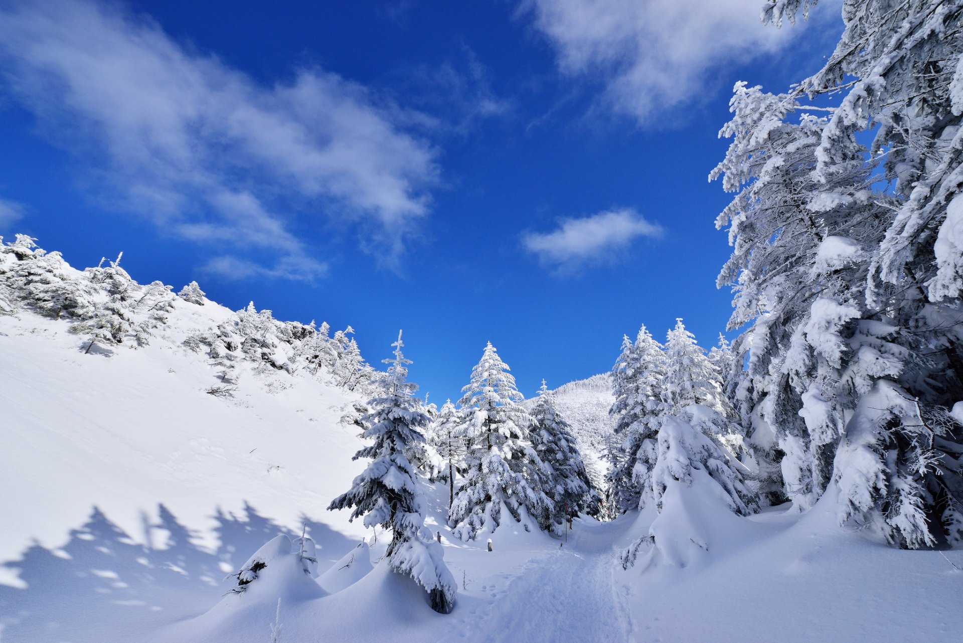 ky clouds mountain winter tree snow spruce