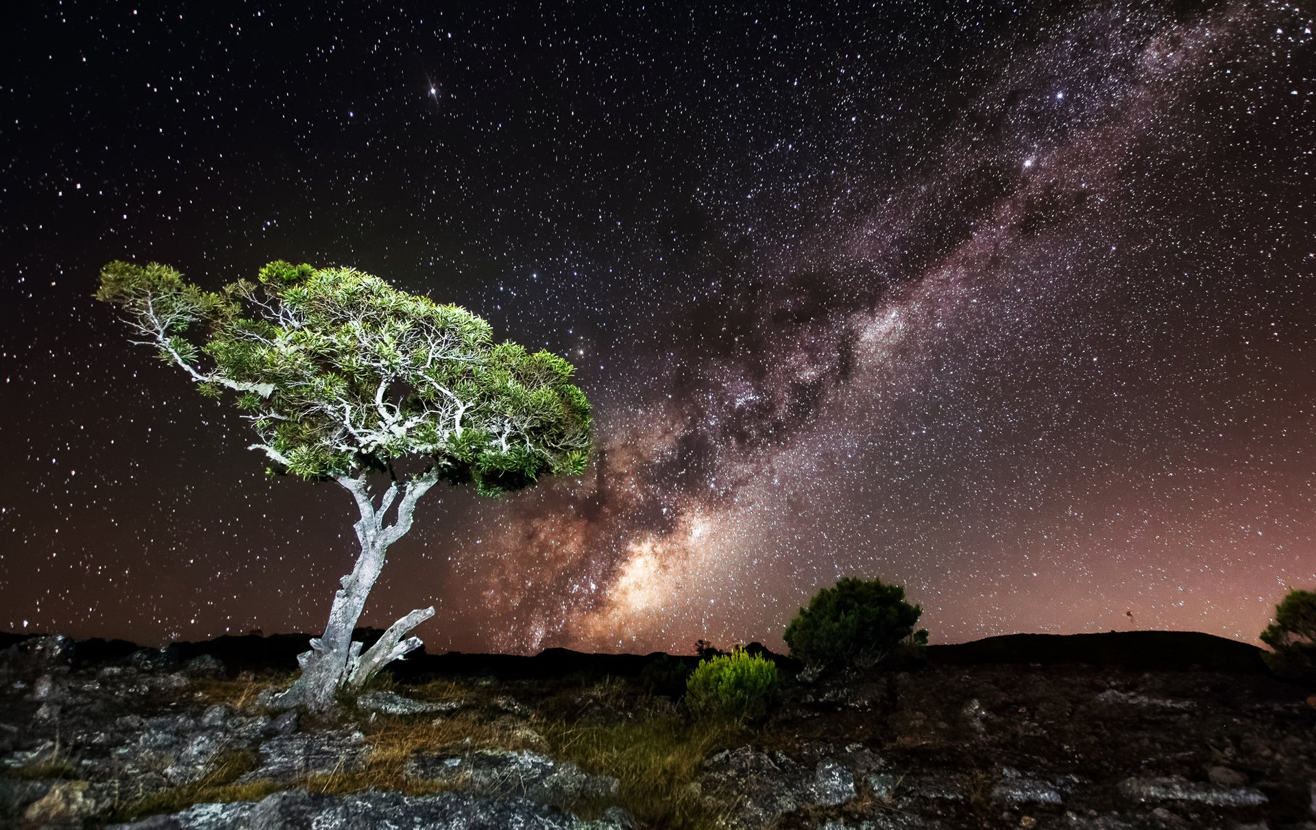 nuit ciel étoiles roches arbre lumière