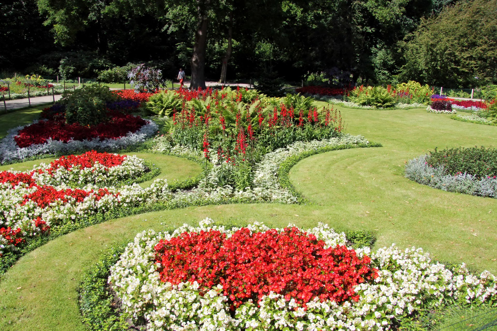 deutschland berlin tiergarten park rasen blumenbeete blumen begonien grüns gras bäume