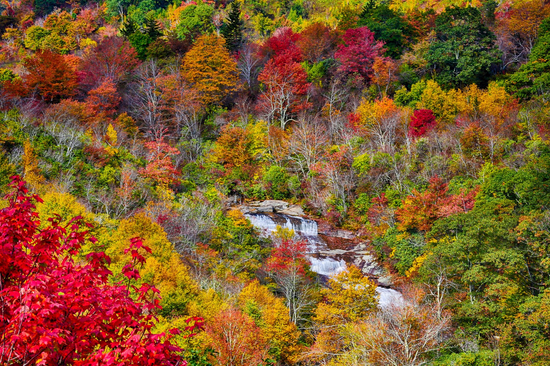 montañas bosque río árboles hojas otoño