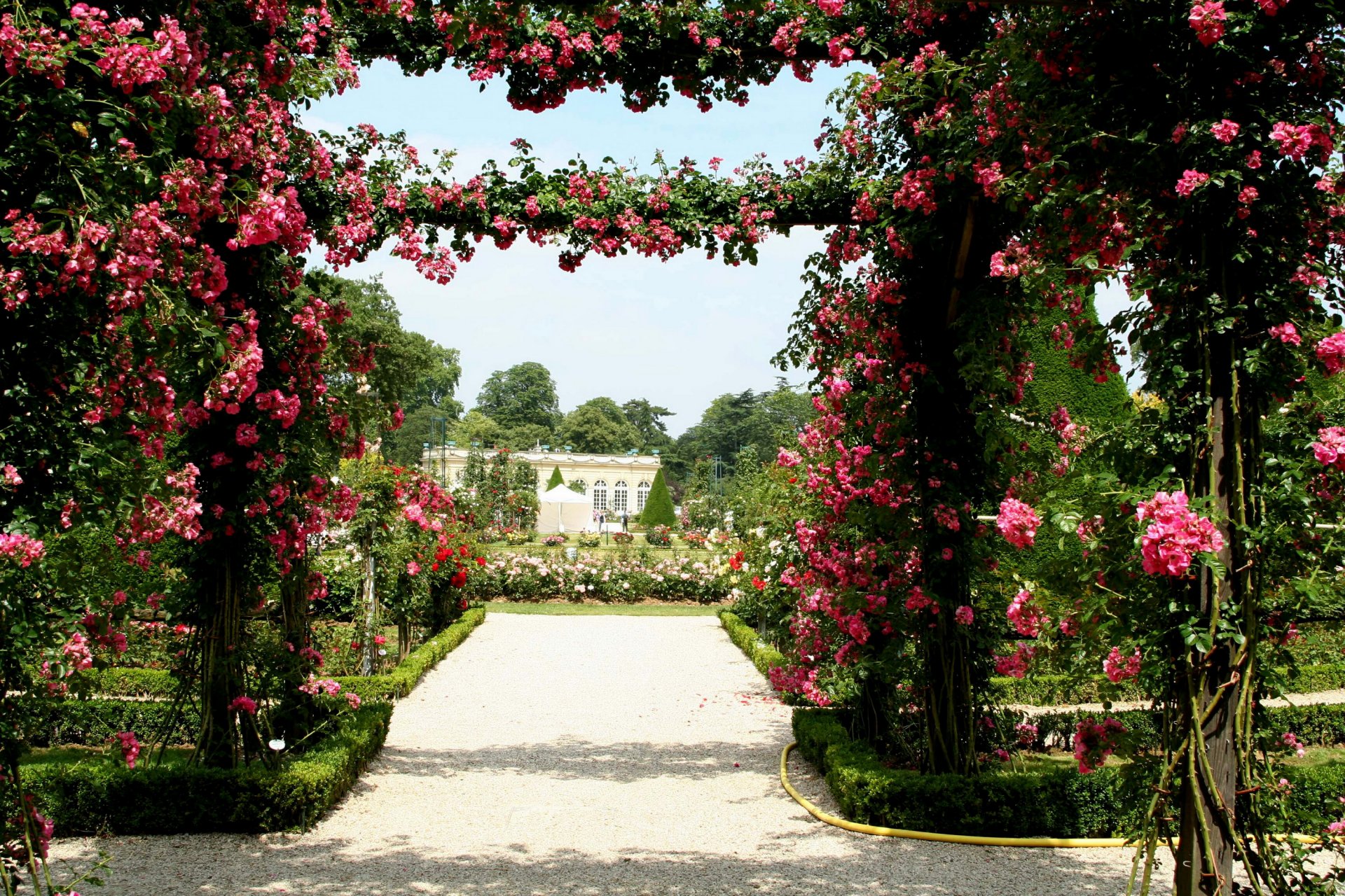 frankreich bagatelle roseraie garten gehweg rasen büsche blumen rosen design