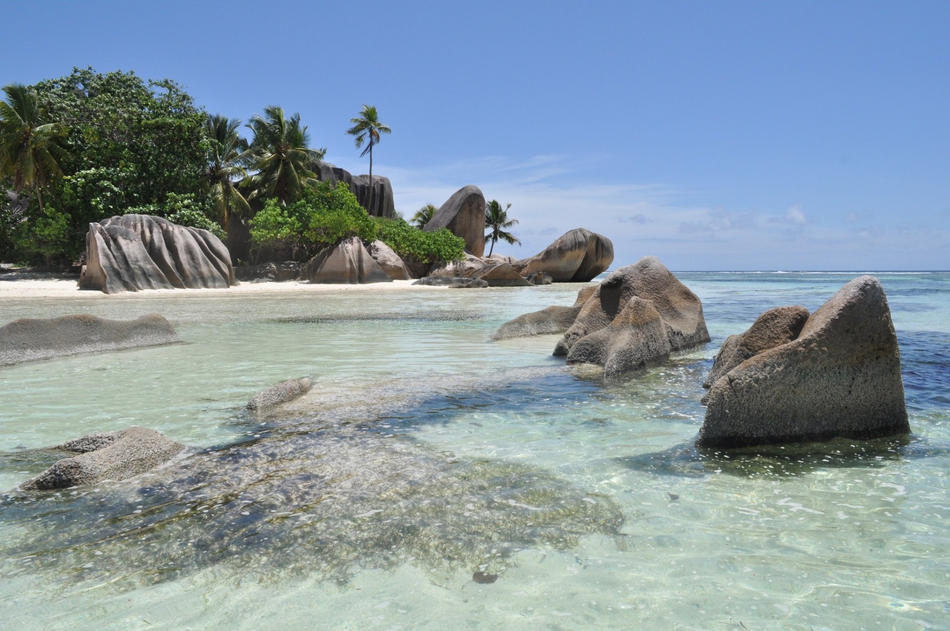 tropen meer blaues wasser ufer sand palmen büsche steine