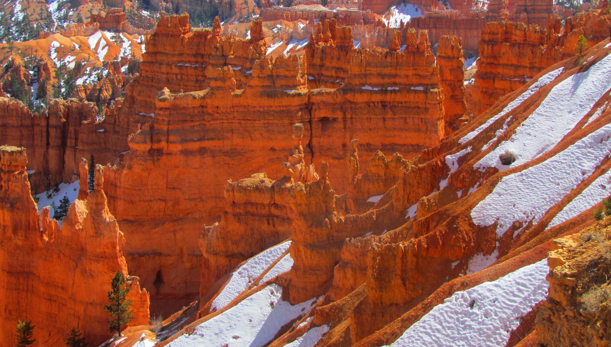 parque nacional bryce canyon utah estados unidos rocas montañas árbol nieve