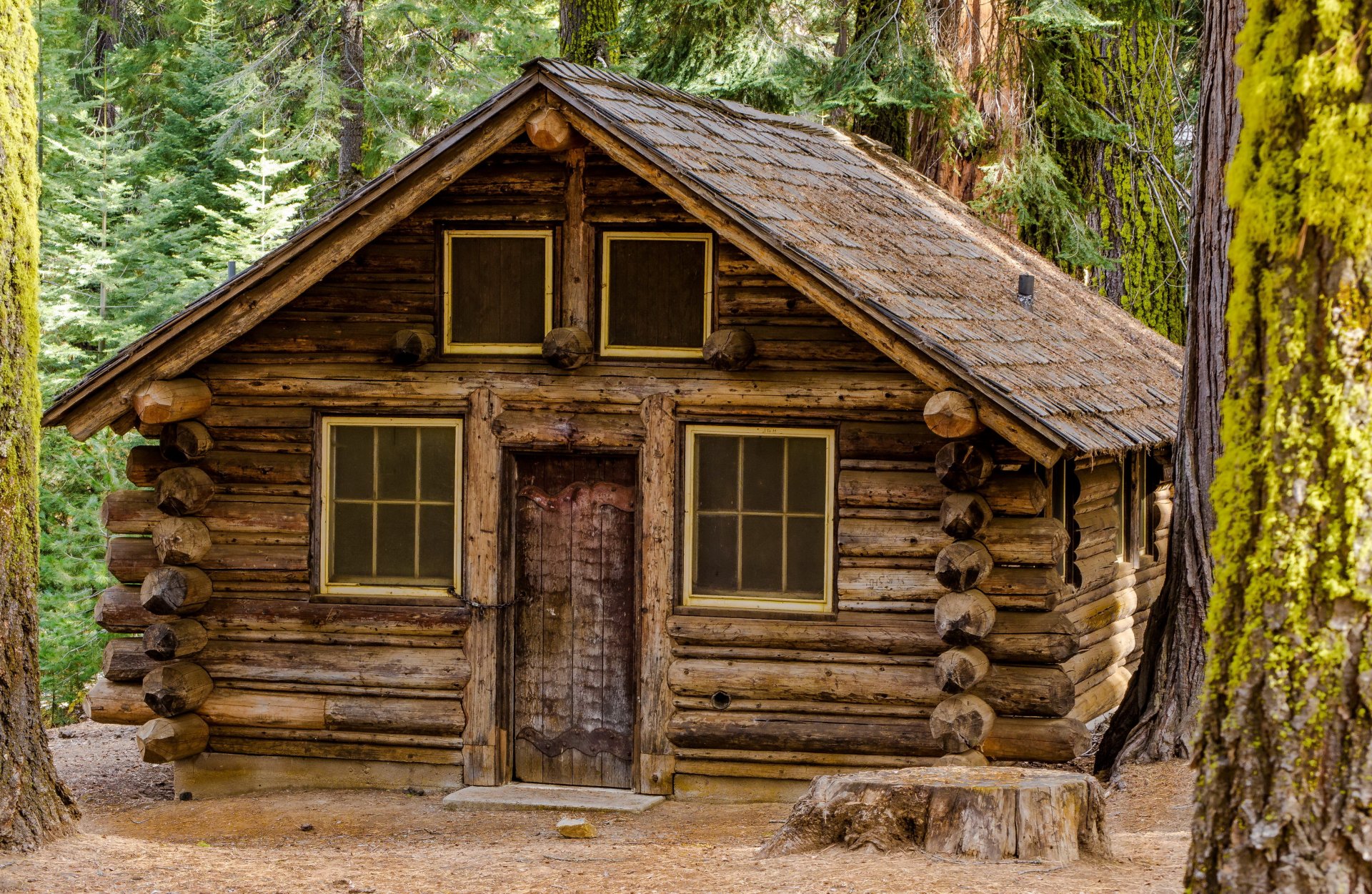 forest house wood chalet stump tree