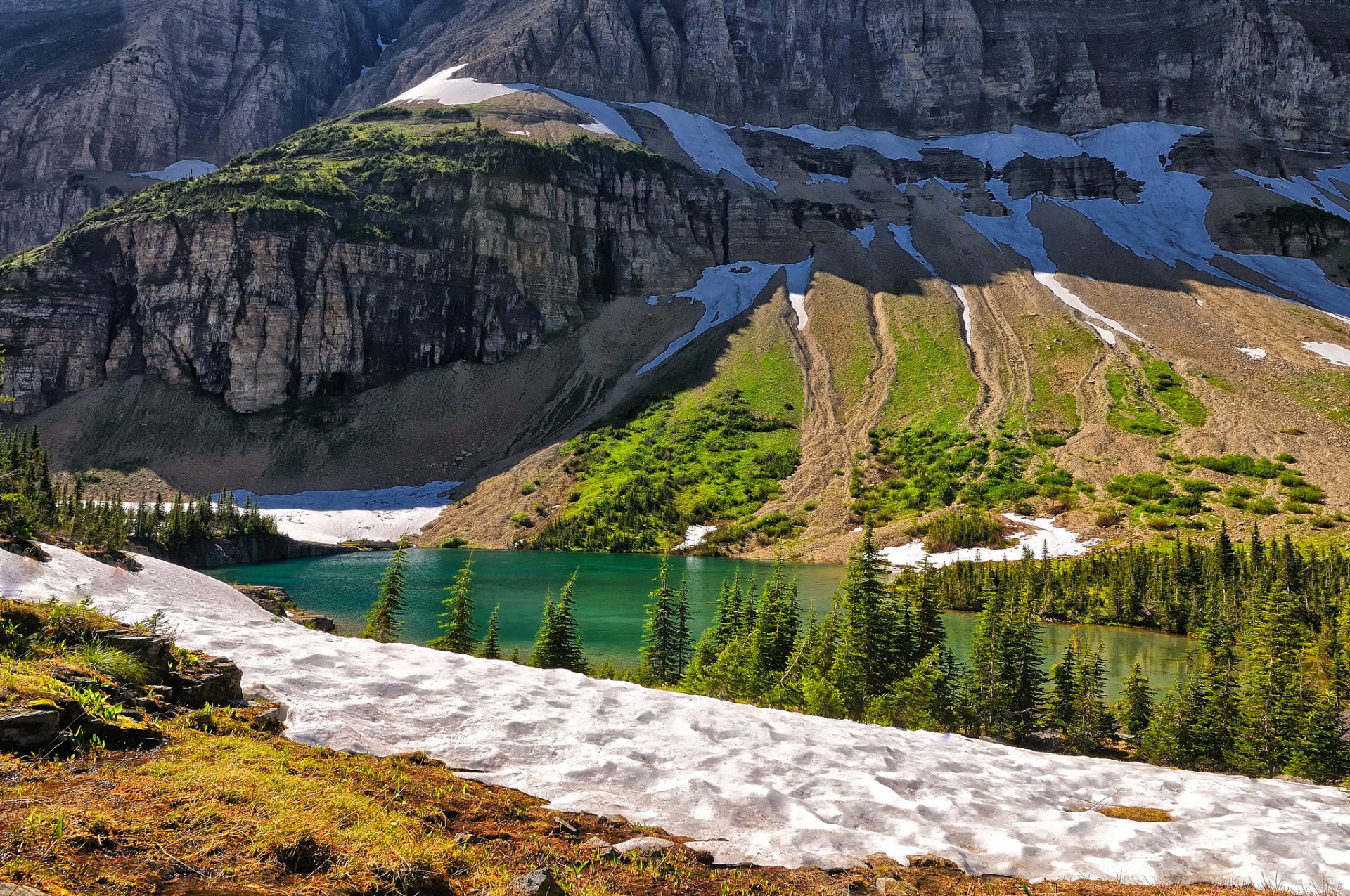 montañas lago nieve árboles