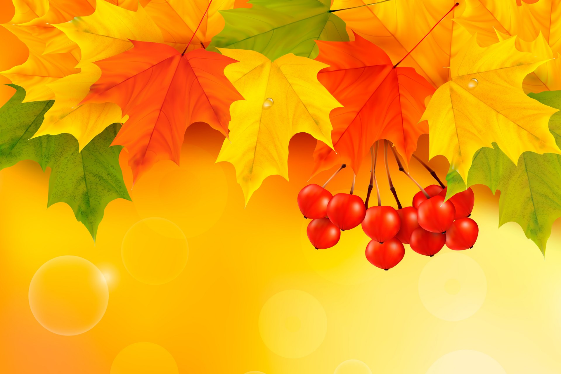 autumn leaves maple autumn background