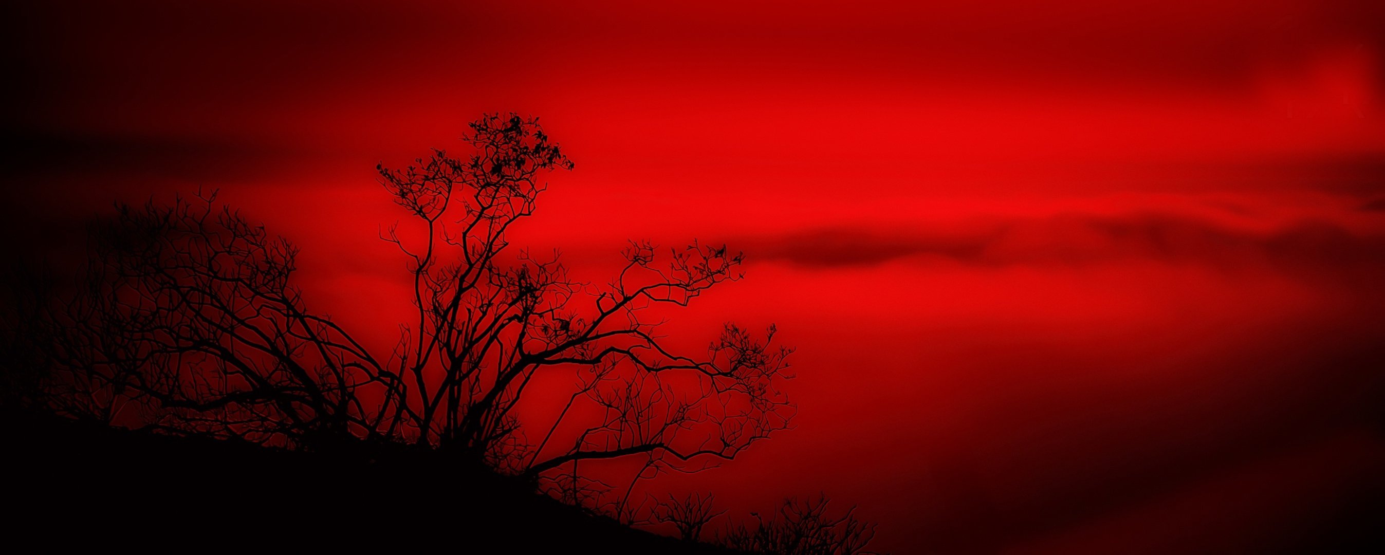 paysage rouge arbre