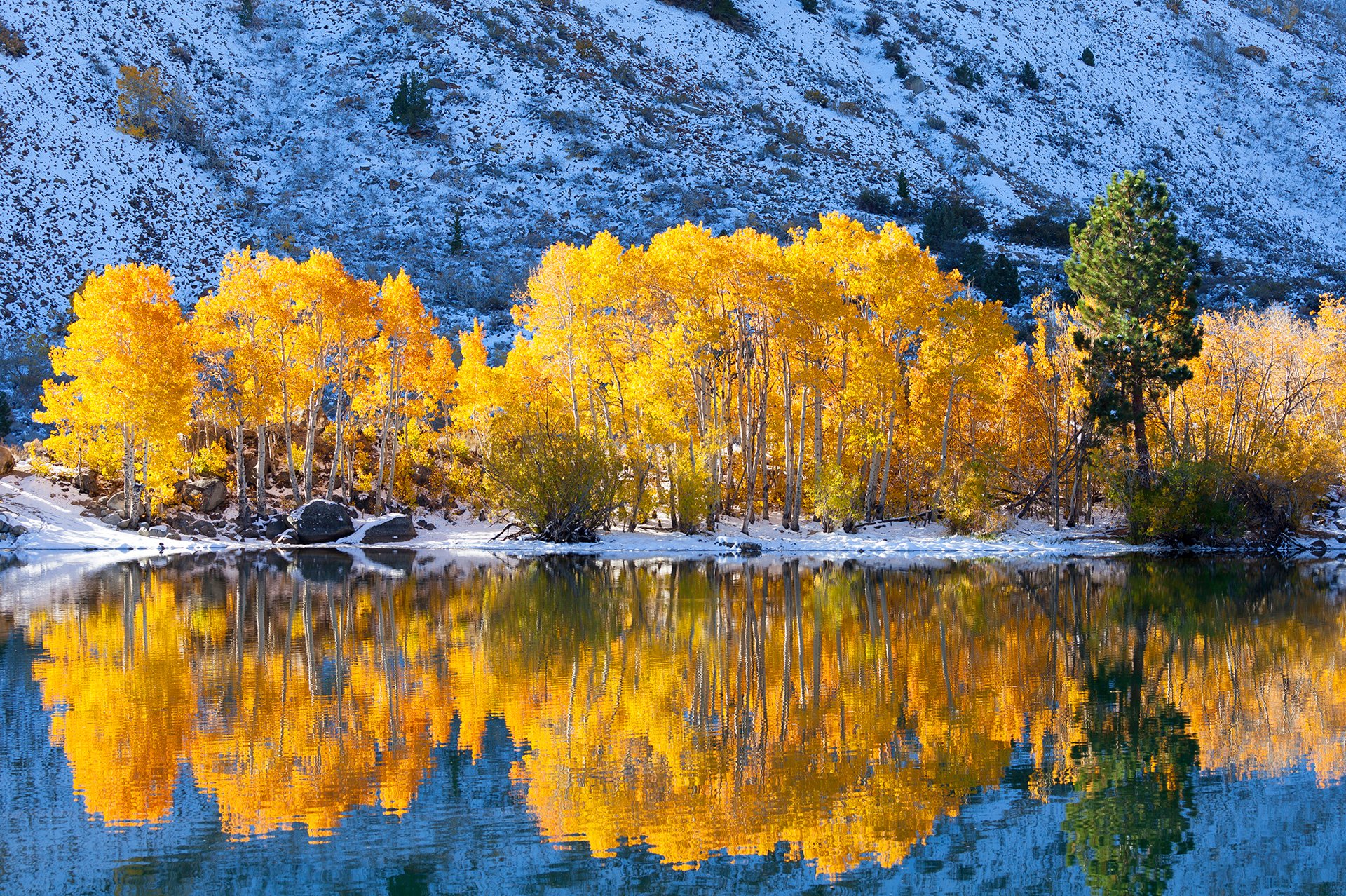 berg see schnee bäume herbst