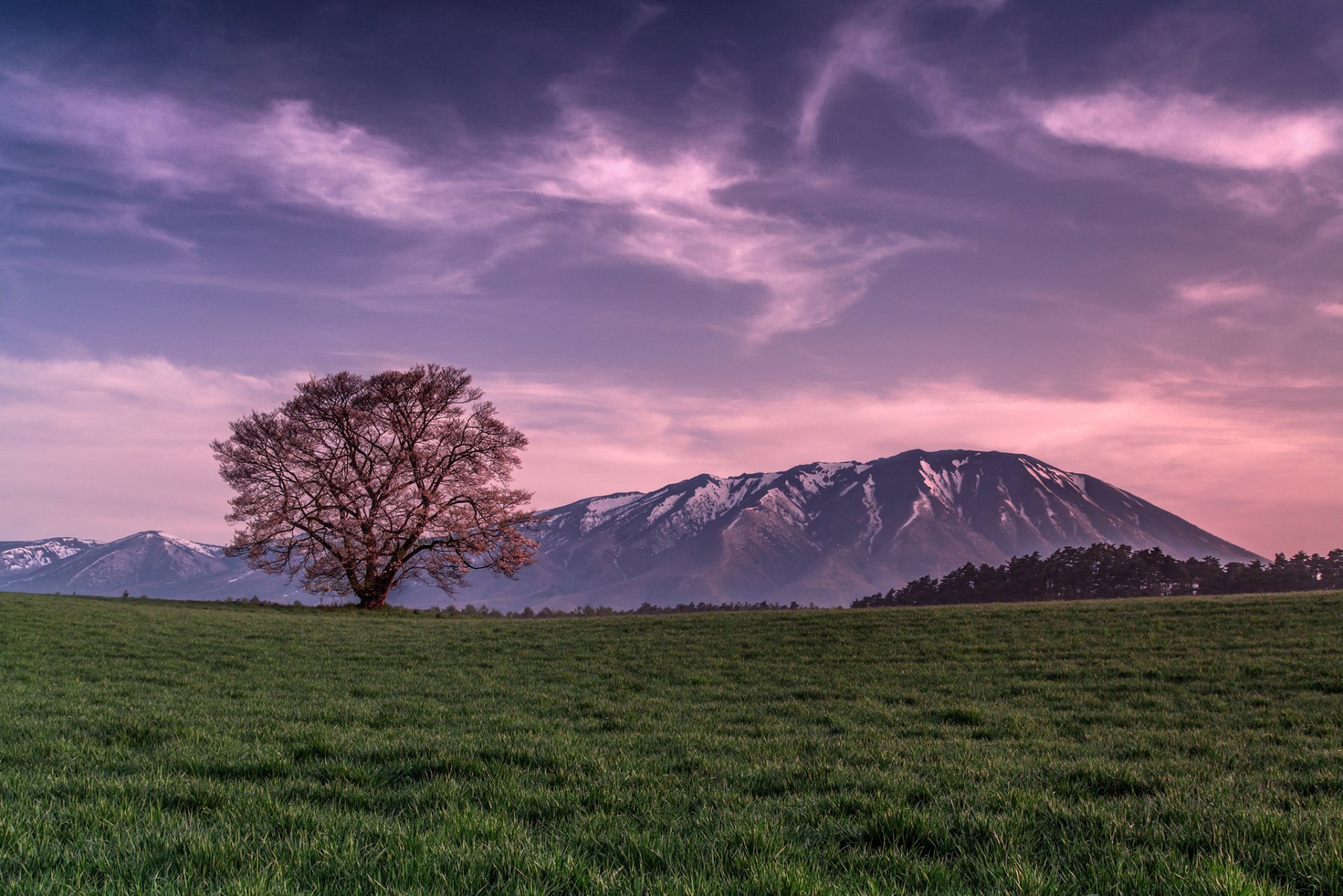 montagnes champ herbe arbre soir rose ciel nuages