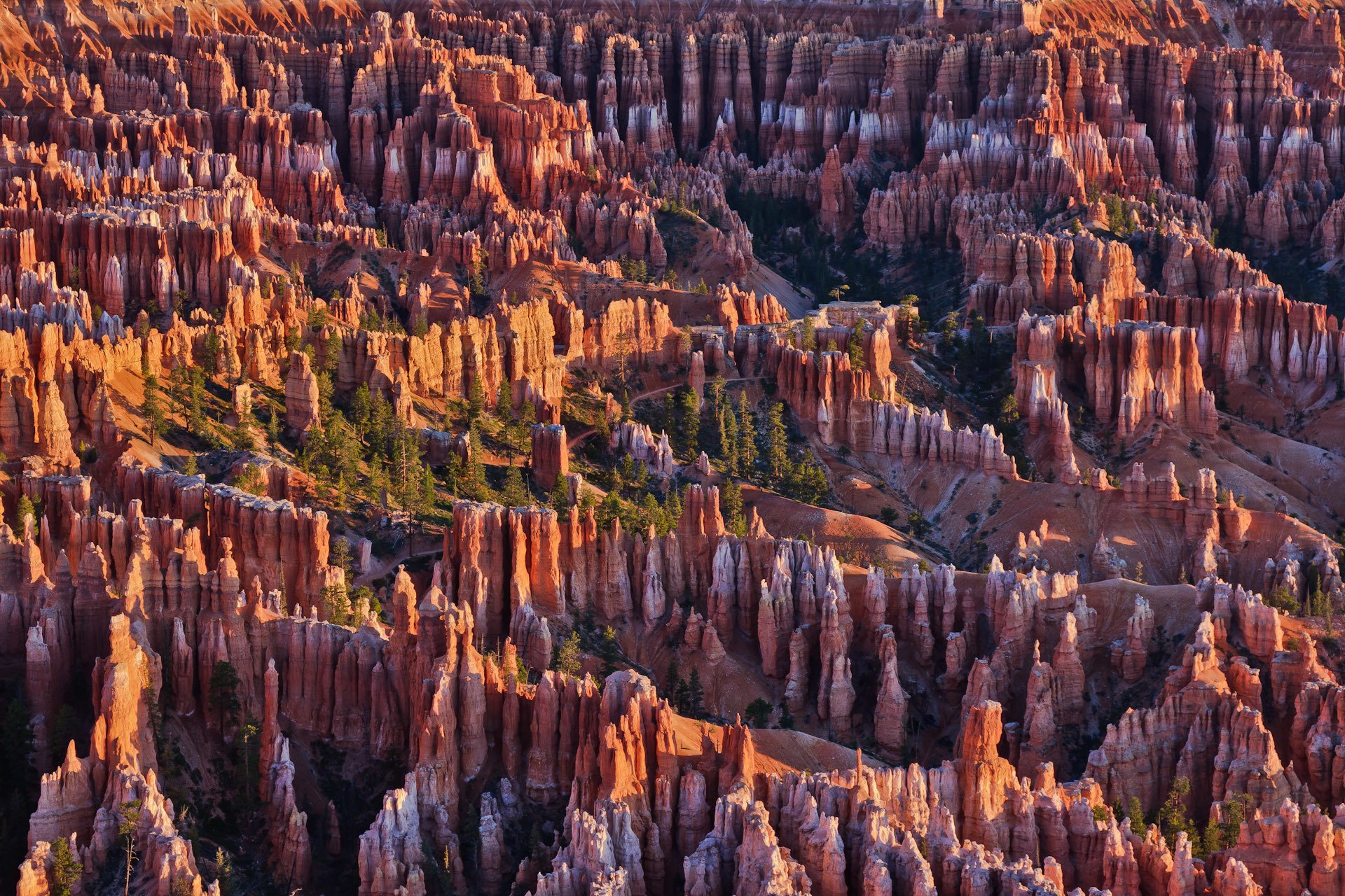 bryce canyon nationalpark utah usa felsen berge bäume