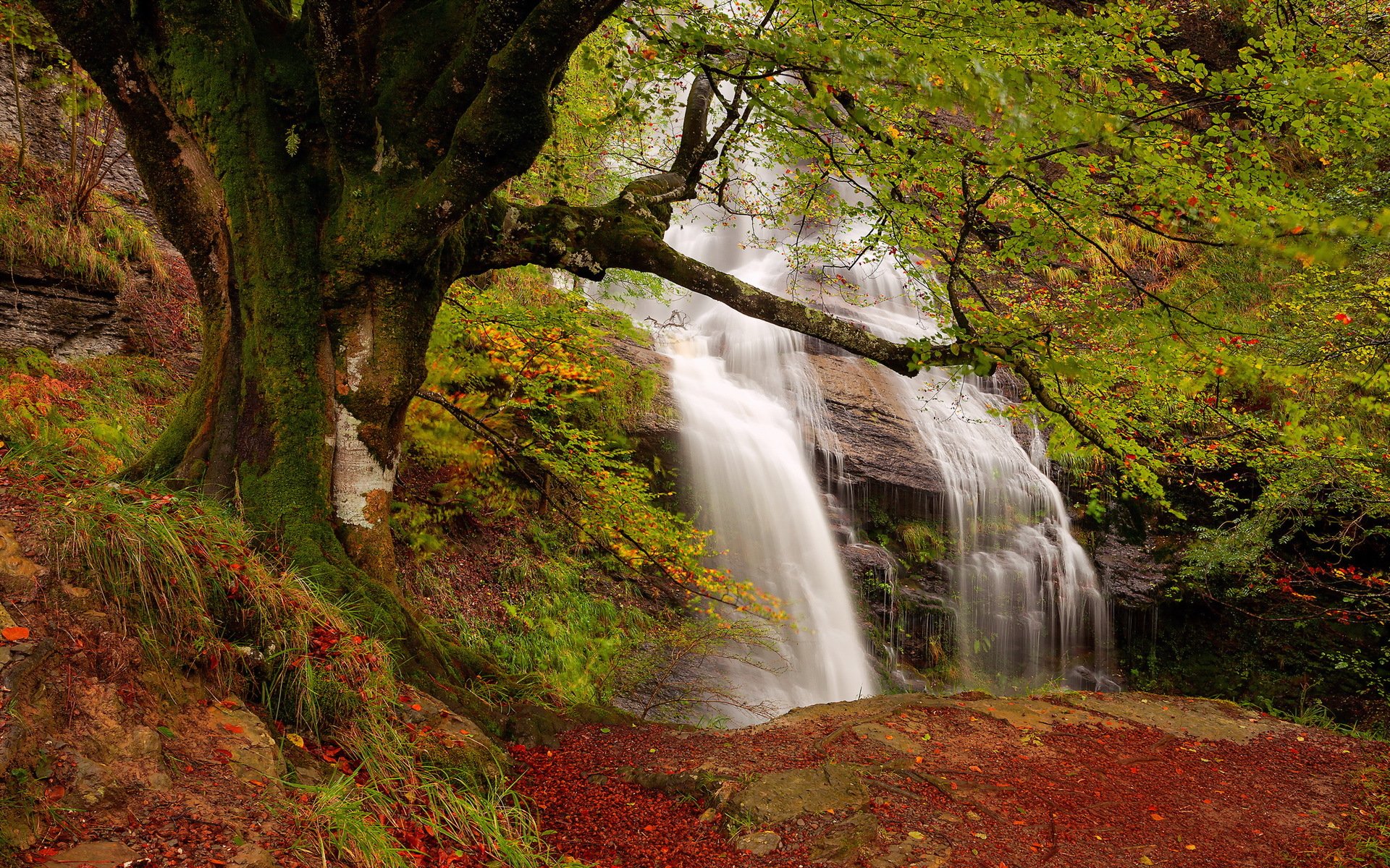 cascada otoño naturaleza