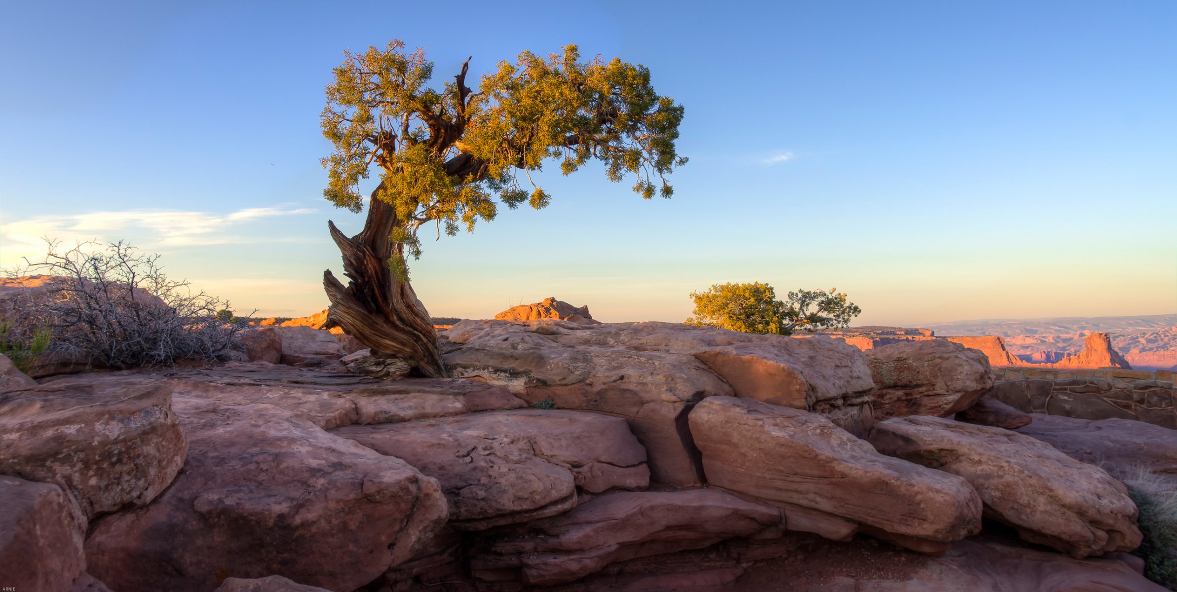 himmel sonnenuntergang berge felsen steine baum